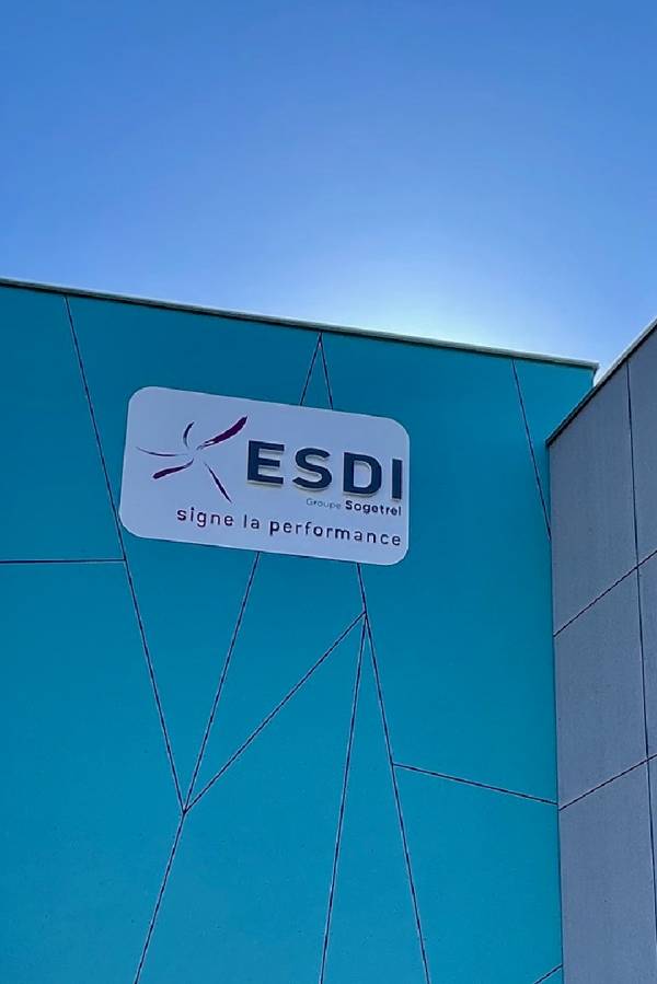 ESDI - Home Page.jpeg